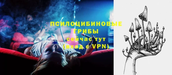 герыч Верхний Тагил